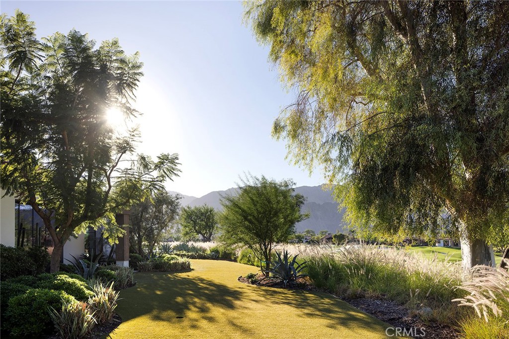 MLS #NP25252266 image #44