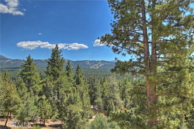 Detail Gallery Image 4 of 74 For 1101 Mound St, Big Bear City,  CA 92314 - 7 Beds | 4/2 Baths