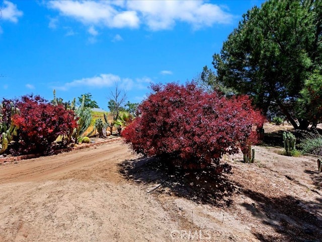 Detail Gallery Image 63 of 74 For 40410 Exa Ely Rd, Hemet,  CA 92544 - 4 Beds | 3 Baths