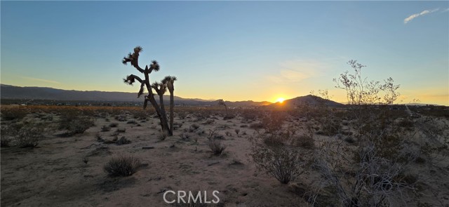 Front Image Thumbnail for CRJT25267968