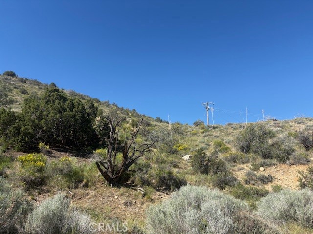 Detail Gallery Image 7 of 11 For 0 None, Pinon Hills,  CA 92372 - – Beds | – Baths