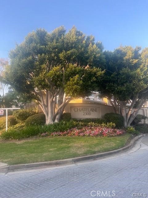 Front Image Thumbnail for CRSB26037494