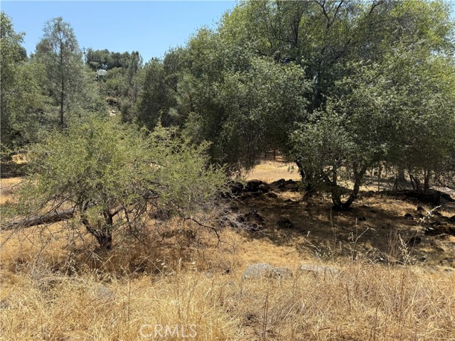 Detail Gallery Image 9 of 15 For 1 N Dome Dr, Coarsegold,  CA 93614 - – Beds | – Baths