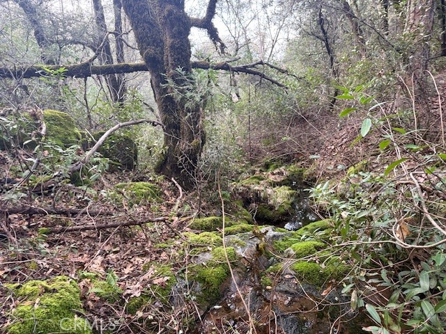 Detail Gallery Image 10 of 20 For 0 Rex Lane, Oroville,  CA 95966 - – Beds | – Baths