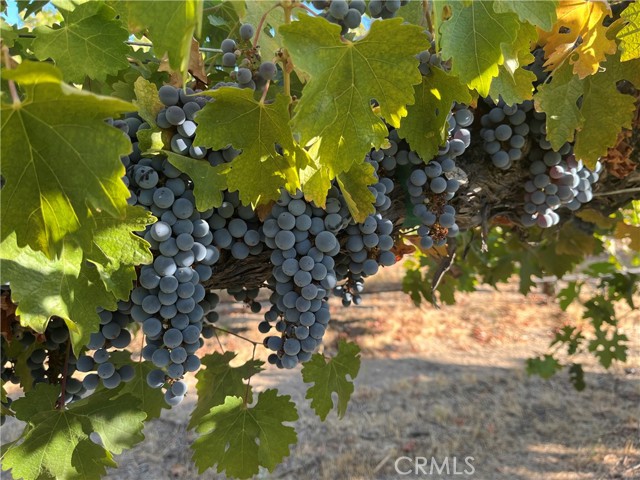 Detail Gallery Image 56 of 66 For 53600 Bradley Lockwood, Bradley,  CA 93426 - 3 Beds | 2 Baths