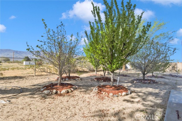 Detail Gallery Image 53 of 68 For 10298 Custer Ave, Lucerne Valley,  CA 92356 - 5 Beds | 2/1 Baths