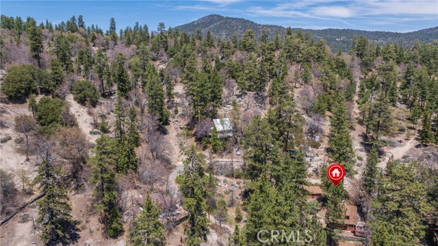352 Big Bear Trail, Fawnskin CA: https://media.crmls.org/medias/97124d1a-3690-4671-8e82-c00b11472e74.jpg