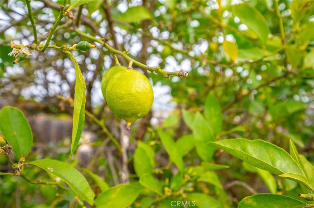 https://media.crmls.org/medias/9715d7ec-ab2f-450d-9da8-b64ab4c8352a.jpg?preset=X-Large