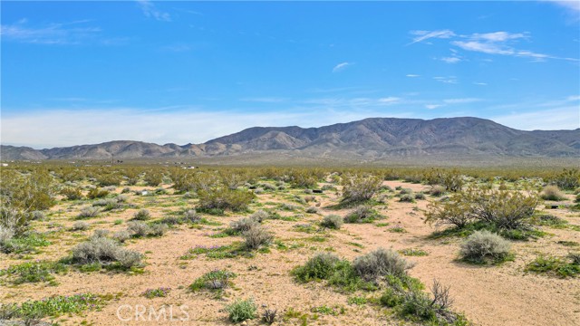 Detail Gallery Image 14 of 14 For 0 Joshua Tree Rd, Johnson Valley,  CA 92285 - – Beds | – Baths