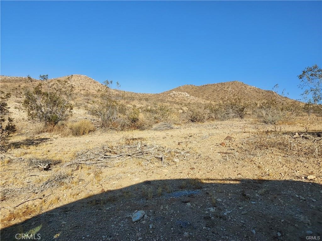 MLS #HD26194502 image #4