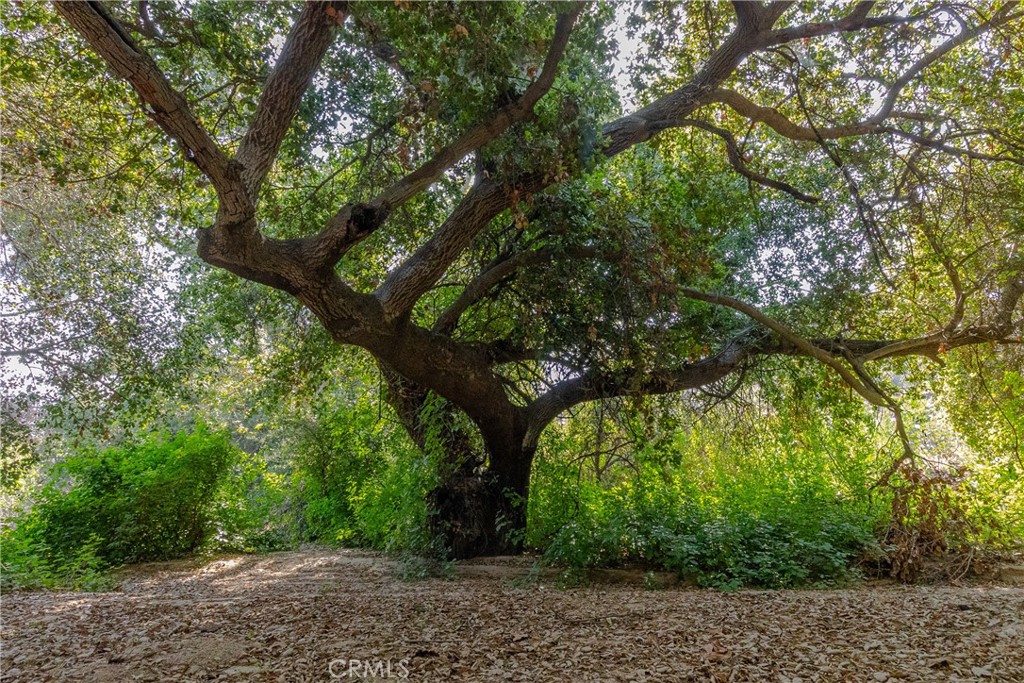 https://media.crmls.org/medias/9720a037-ed29-45ec-8191-e0fa8f7627a0.jpg?preset=X-Large