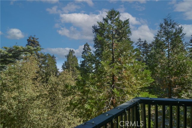 Detail Gallery Image 31 of 32 For 892 Bear Springs Rd, Twin Peaks,  CA 92391 - 2 Beds | 2 Baths