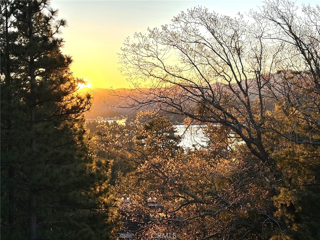 https://media.crmls.org/medias/972b2472-f2b7-43c5-b772-c5b1e735c66b.jpg?preset=X-Large