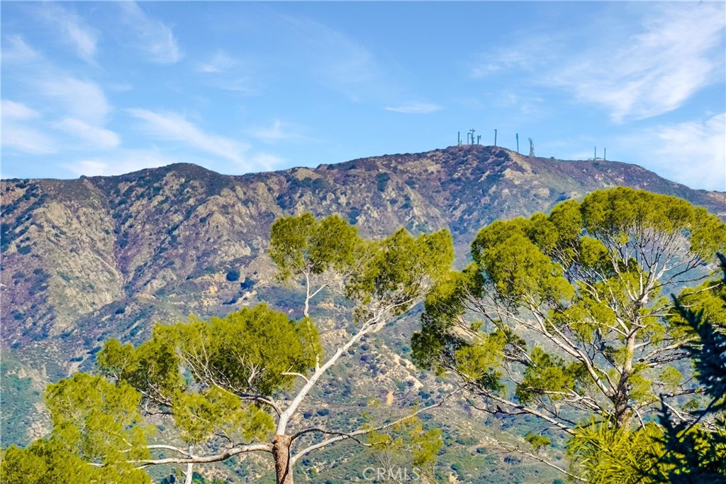 https://media.crmls.org/medias/9730ce21-aa38-43fa-91de-82ac8c94c37f.jpg?preset=X-Large