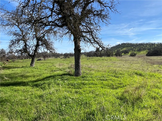 Detail Gallery Image 4 of 17 For 2463 Old Hwy, Catheys Valley,  CA 95306 - – Beds | – Baths