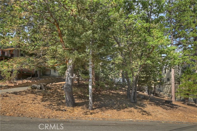 Detail Gallery Image 23 of 57 For 26146 Circle Dr, Lake Arrowhead,  CA 92352 - 3 Beds | 2 Baths