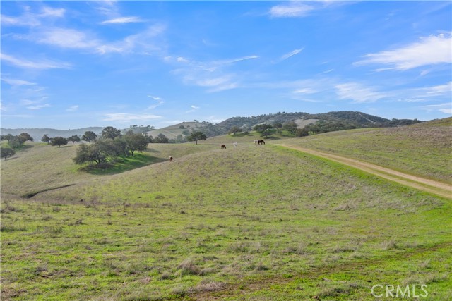 Detail Gallery Image 13 of 38 For 12000 Nacimiento Lake, Paso Robles,  CA 93426 - – Beds | – Baths