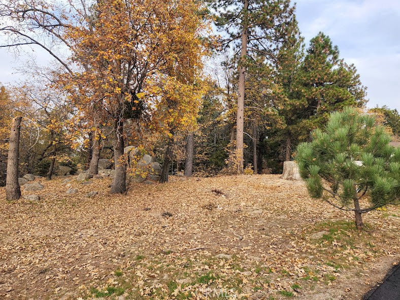 MLS #HD25258985 image #6