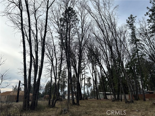 14293 Skyway, Magalia, CA, 95954 14293 Skyway, Magalia, CA, 95954
