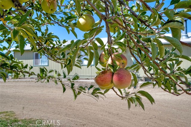 Detail Gallery Image 24 of 29 For 49450 Kiowa, Aguanga,  CA 92536 - 3 Beds | 2 Baths