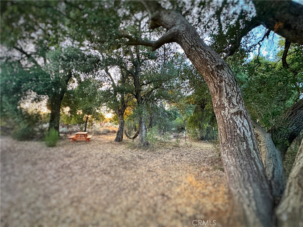 https://media.crmls.org/medias/9743b2e7-1c4c-4168-9b82-d7e4edc87a69.jpg?preset=X-Large