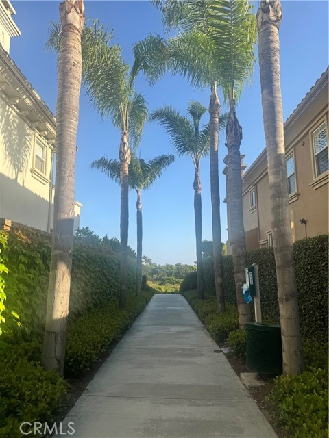 38 San Raphael, Dana Point CA: https://media.crmls.org/medias/97460b98-43c0-4724-a002-ed226631880d.jpg