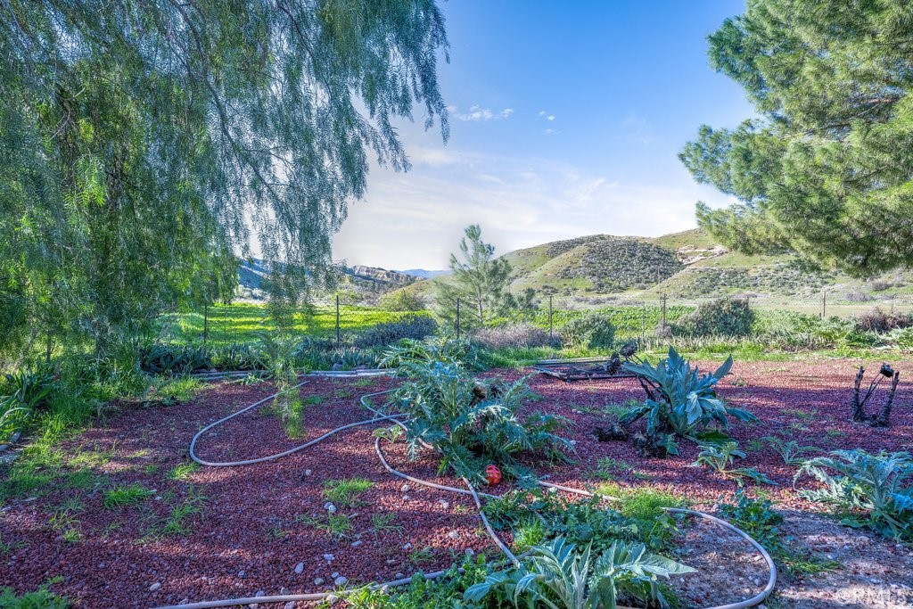 https://media.crmls.org/medias/974d31a9-ce23-4521-be72-3ce8cc2377ac.jpg?preset=X-Large