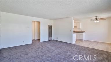 Front Image Thumbnail for CROC25277633