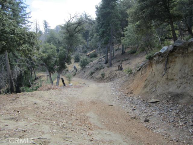 Detail Gallery Image 12 of 24 For 0 Burnt Mill Canyon Rd, Cedarpines Park,  CA 92322 - – Beds | – Baths