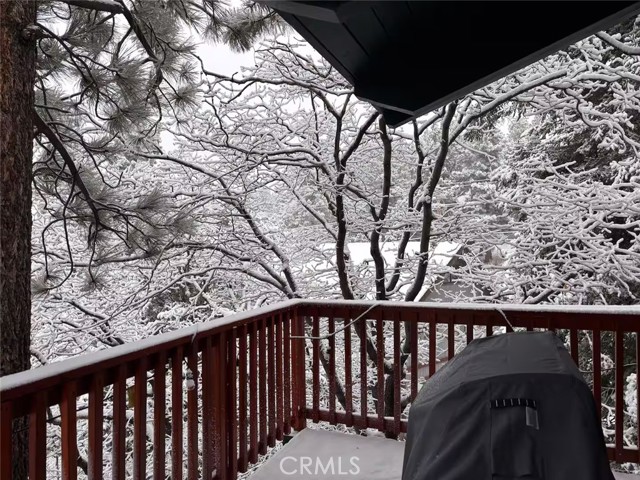 Detail Gallery Image 70 of 70 For 43897 Yosemite Drive, Big Bear Lake,  CA 92315 - 4 Beds | 2 Baths