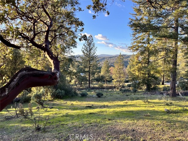 Detail Gallery Image 4 of 9 For 0 4.98 Ac Timberwood Ln, Oakhurst,  CA 93644 - – Beds | – Baths