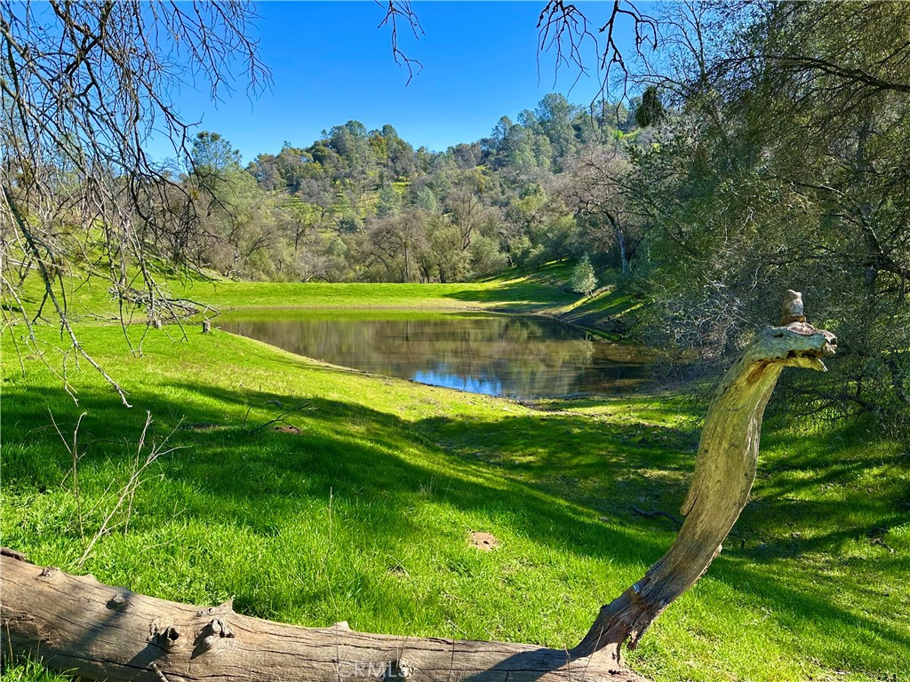 https://media.crmls.org/medias/9756dc4a-f0ee-46e3-aded-41a303b22eb3.jpg?preset=X-Large