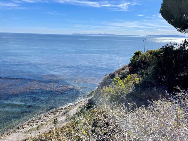 Catalina Views