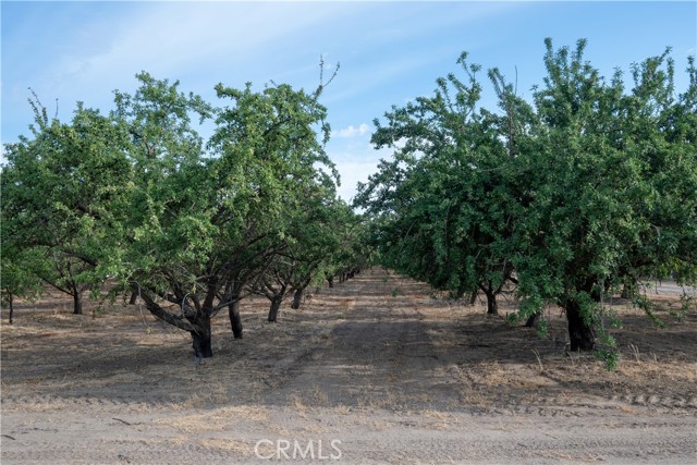 Image 6 of 49 For 5702 Highway 145