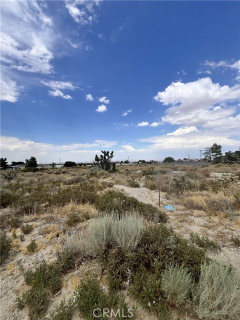  Land for Sale in Phelan, California