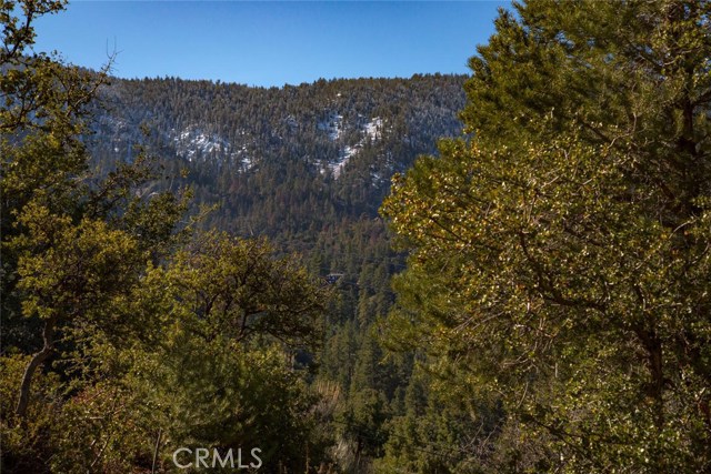 Detail Gallery Image 7 of 18 For 1824 Saint Anton Dr, –,  CA 93222 - – Beds | – Baths