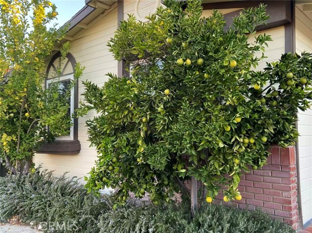 Detail Gallery Image 18 of 22 For 31928 Cinnabar, Castaic,  CA 91384 - 3 Beds | 2 Baths