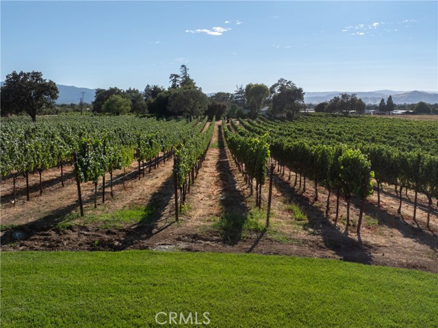 Detail Gallery Image 10 of 49 For 2143 Buena Vista Ave, Gilroy,  CA 95020 - 0 Beds | 1 Baths