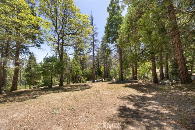 Detail Gallery Image 70 of 71 For 10820 Bonita Way, Wofford Heights,  CA 93285 - 4 Beds | 3 Baths