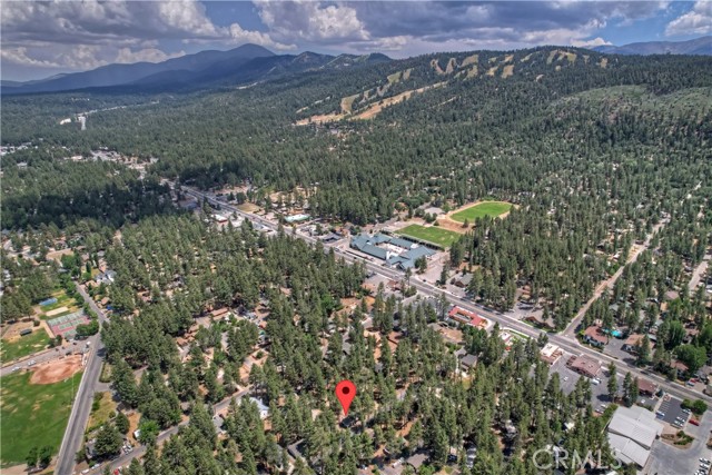 401 Knight Avenue, Big Bear Lake, California 92315, ,Commercial Sale,For Sale,401 Knight Avenue,CREV24167662