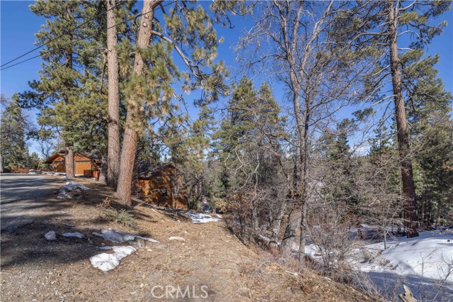 Detail Gallery Image 9 of 19 For 0 Pigeon Rd, Big Bear Lake,  CA 92315 - – Beds | – Baths