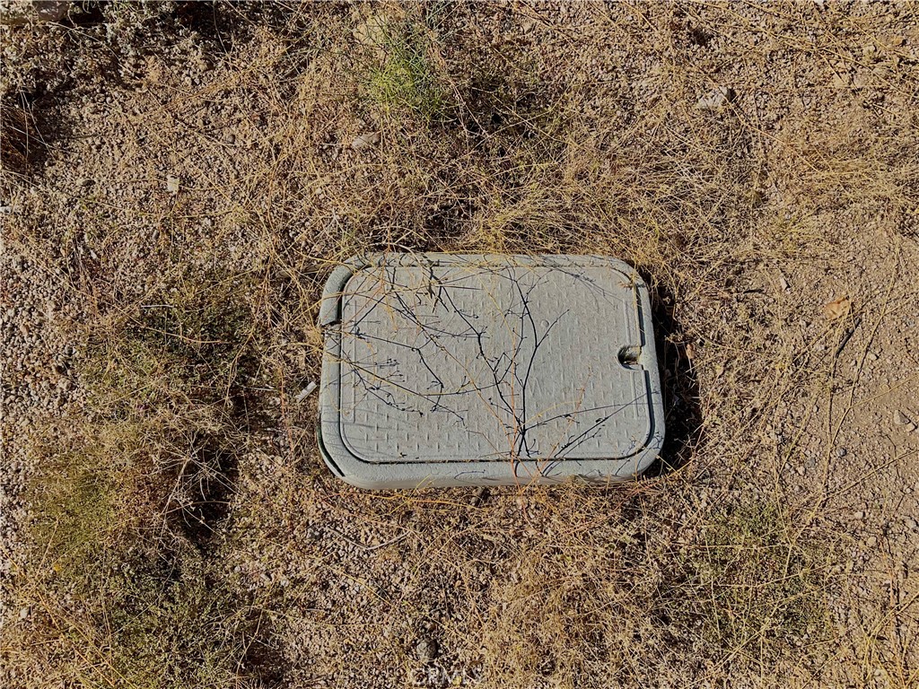 MLS #JT25259436 image #4