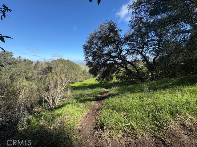 Front Image Thumbnail for CRNS26036136