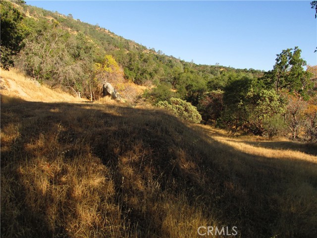 Detail Gallery Image 43 of 54 For 2 Ac Old Oaks Ct, North Fork,  CA 93643 - – Beds | – Baths
