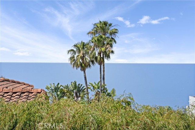 Detail Gallery Image 54 of 55 For 1095 Miramar, Laguna Beach,  CA 92651 - 3 Beds | 2 Baths