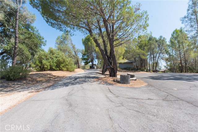 Detail Gallery Image 16 of 24 For 3840 Telford Rd, Paso Robles,  CA 93446 - 3 Beds | 3 Baths