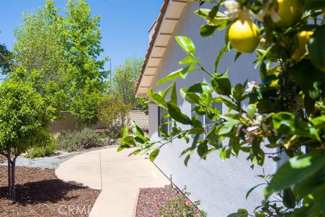 Detail Gallery Image 63 of 63 For 2455 Santa Rosa St, Santa Maria,  CA 93455 - 3 Beds | 2 Baths
