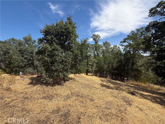 Detail Gallery Image 4 of 6 For 16318 Longhorn Ln, Corning,  CA 96021 - – Beds | – Baths