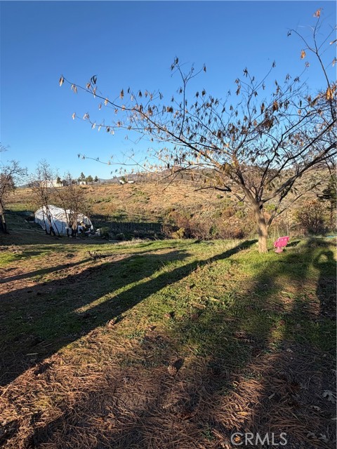 Front Image Thumbnail for CRSN25278566