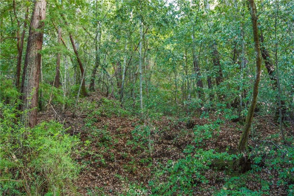 MLS #OC25221127 image #12